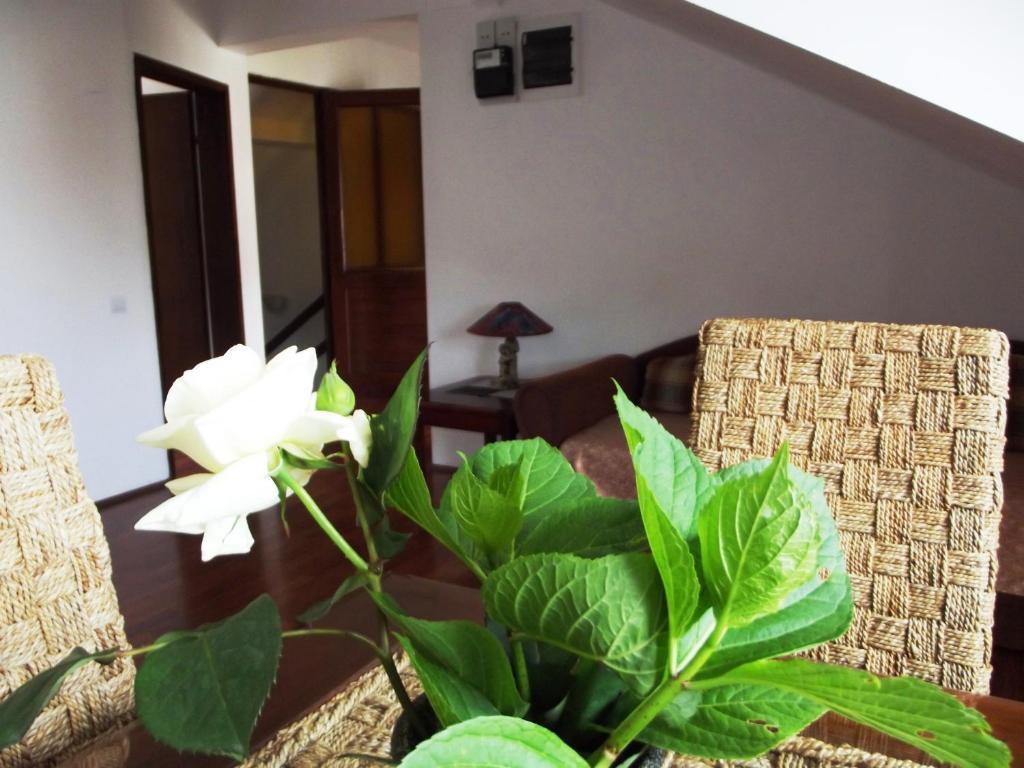 Apartments Budva Center Kamer foto